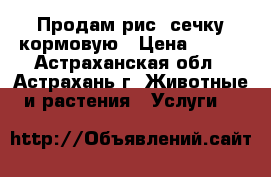 Продам рис, сечку кормовую › Цена ­ 300 - Астраханская обл., Астрахань г. Животные и растения » Услуги   